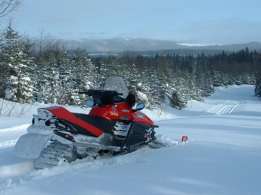Yamaha RS Vector 2005