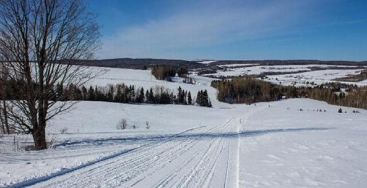 Des conditions exceptionnelles pour la période