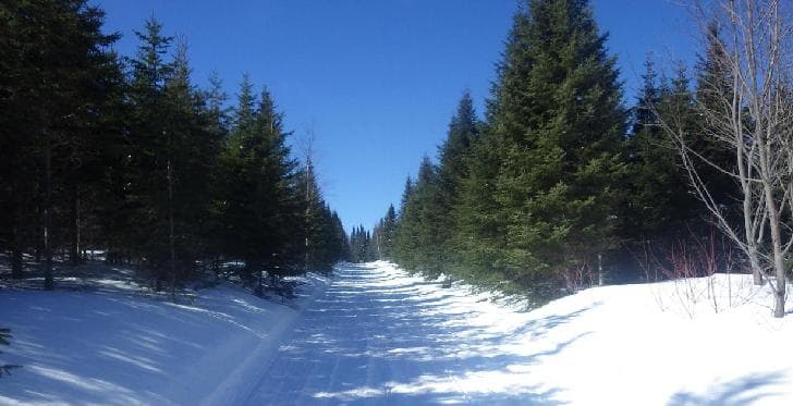Mont Apica : le projet de relais de motoneige pourra aller de l’avant