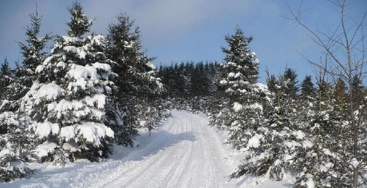 Montmagny vend un terrain pour y loger un stationnement