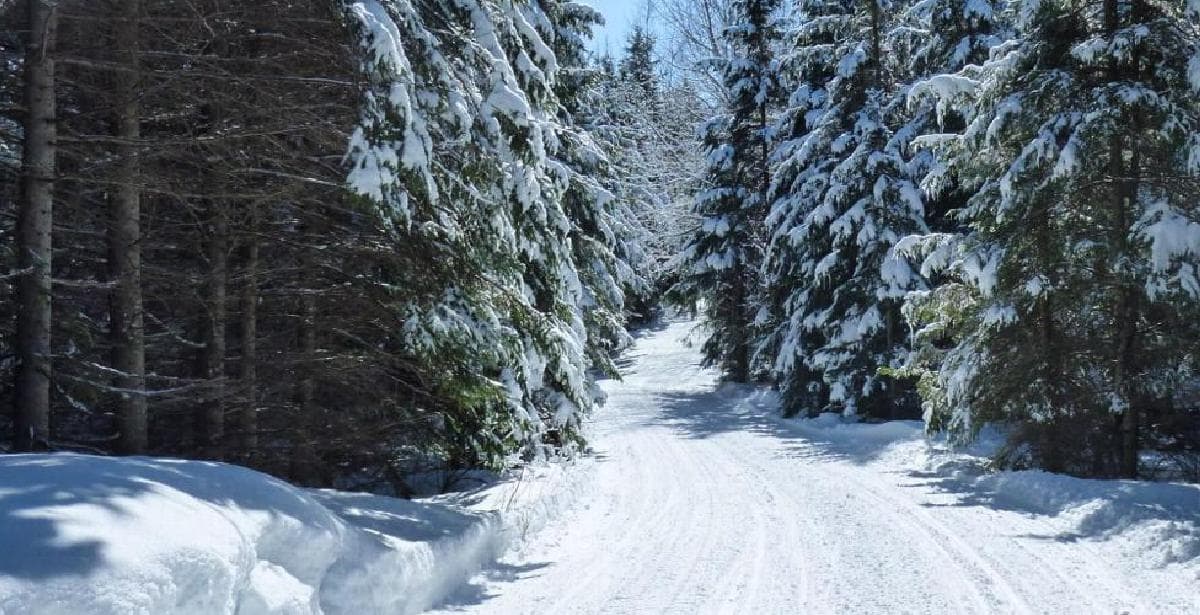 En piste pour la saison de motoneige