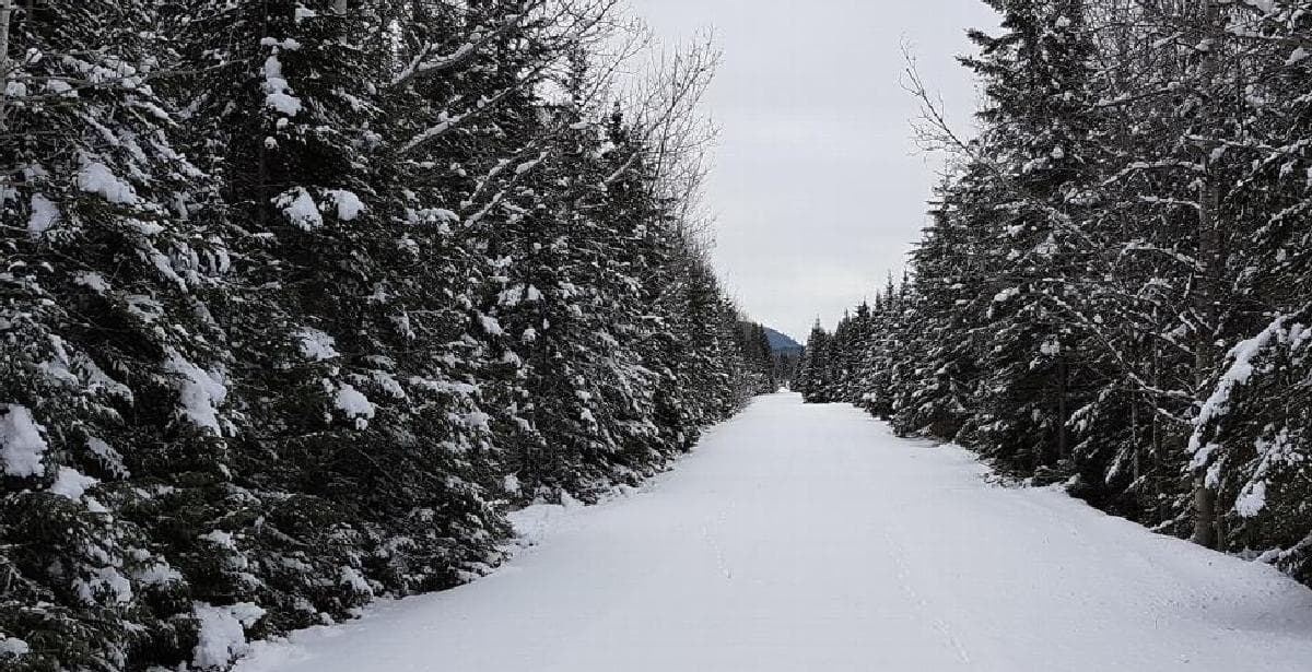 Les sentiers de motoneige du Bas-Saint-Laurent sont en excellentes conditions