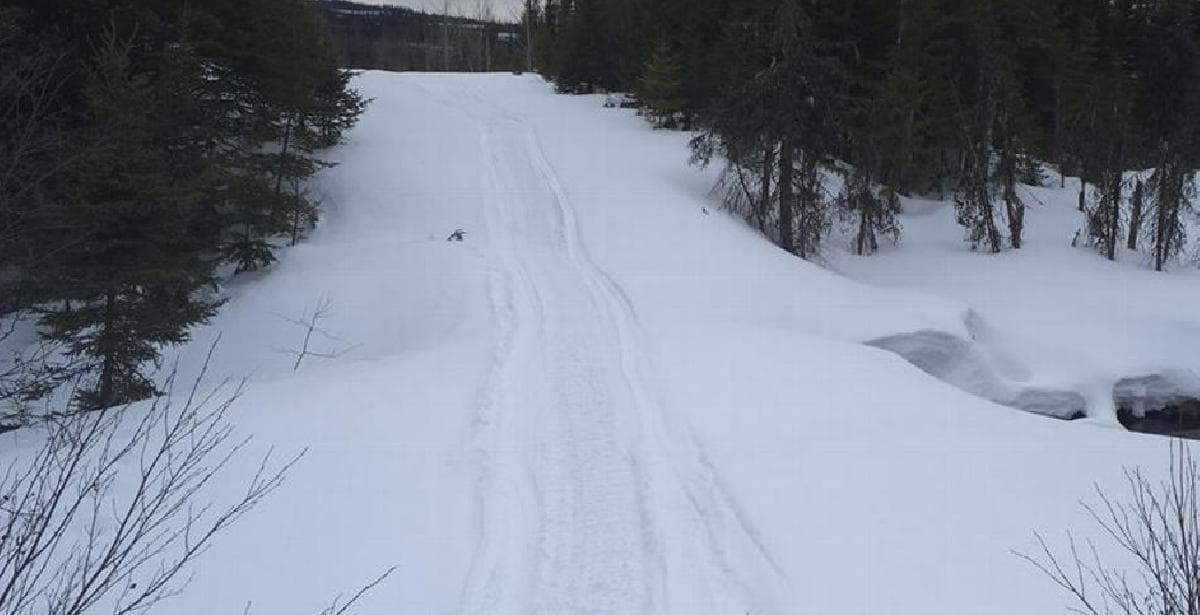 En forêt