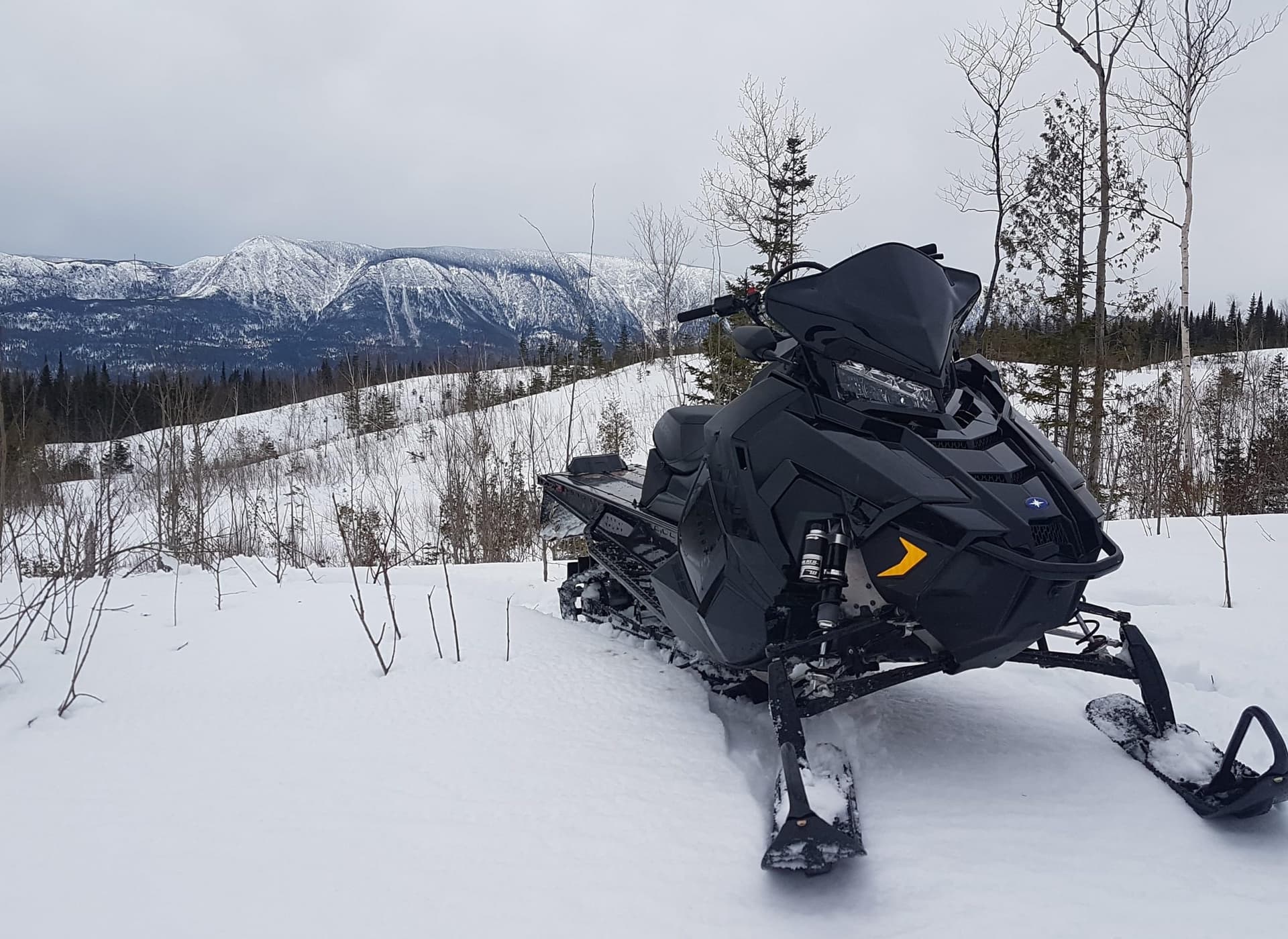 Essai court terme : POLARIS PRO-RMK 155