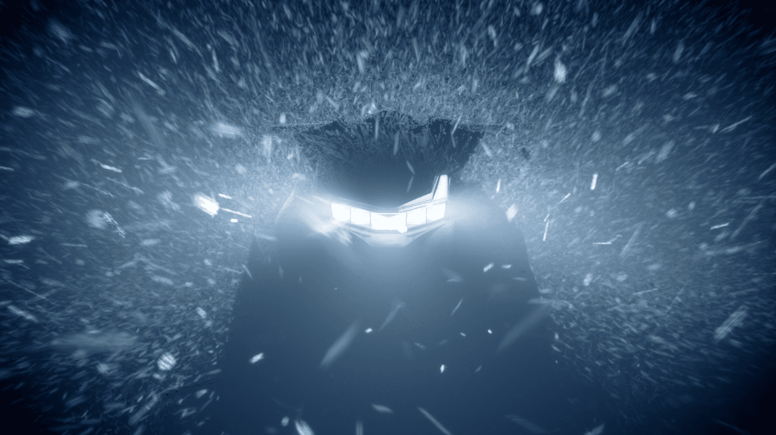 Arctic Cat - New platform