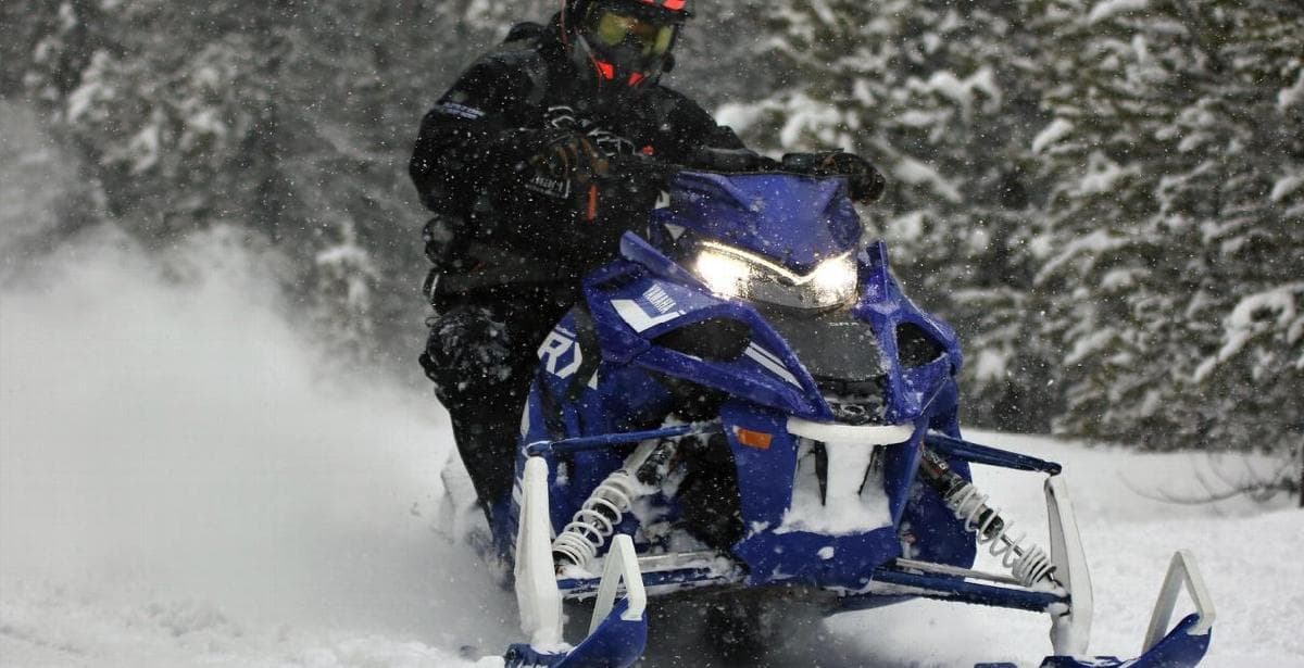 Les coups de cœur du Snow Shoot 2019