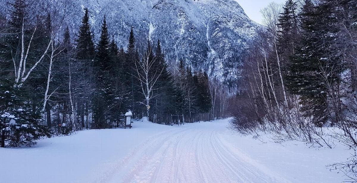 Le SPVQ sévit dans les sentiers de motoneige