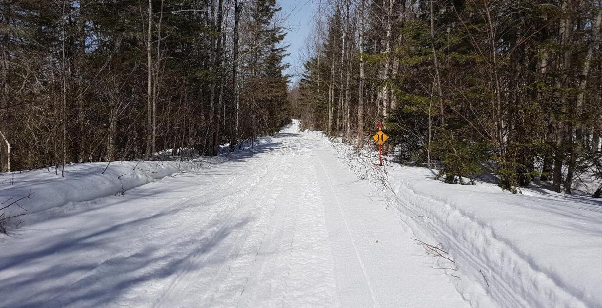 Voie de contournement des quartiers de L'Isle-Maligne et de Delisle à Alma