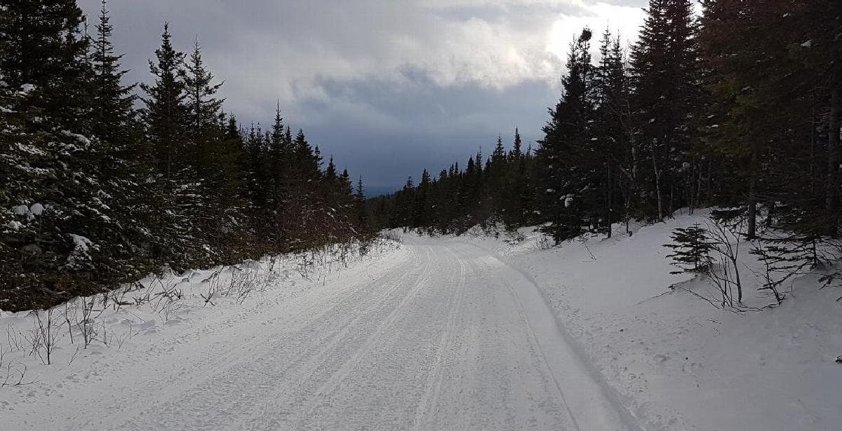 719 000 $ pour les sentiers de VTT et de motoneige en Gaspésie