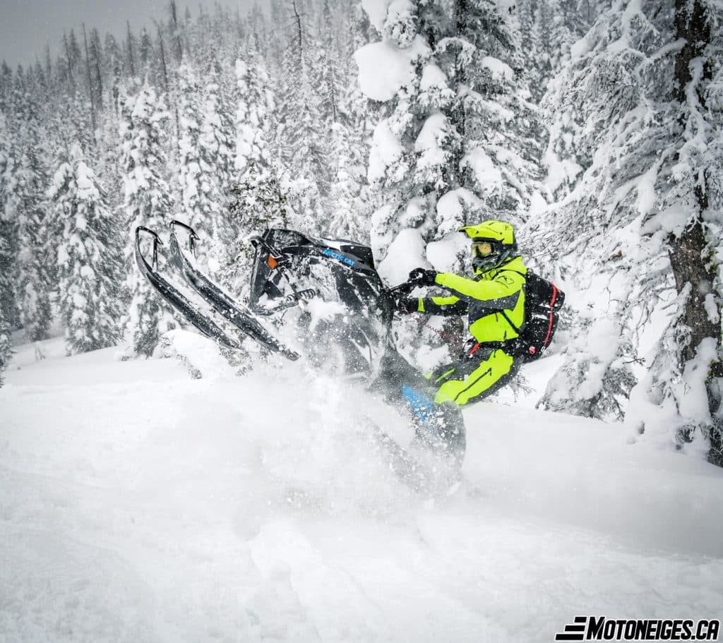 Arctic Cat