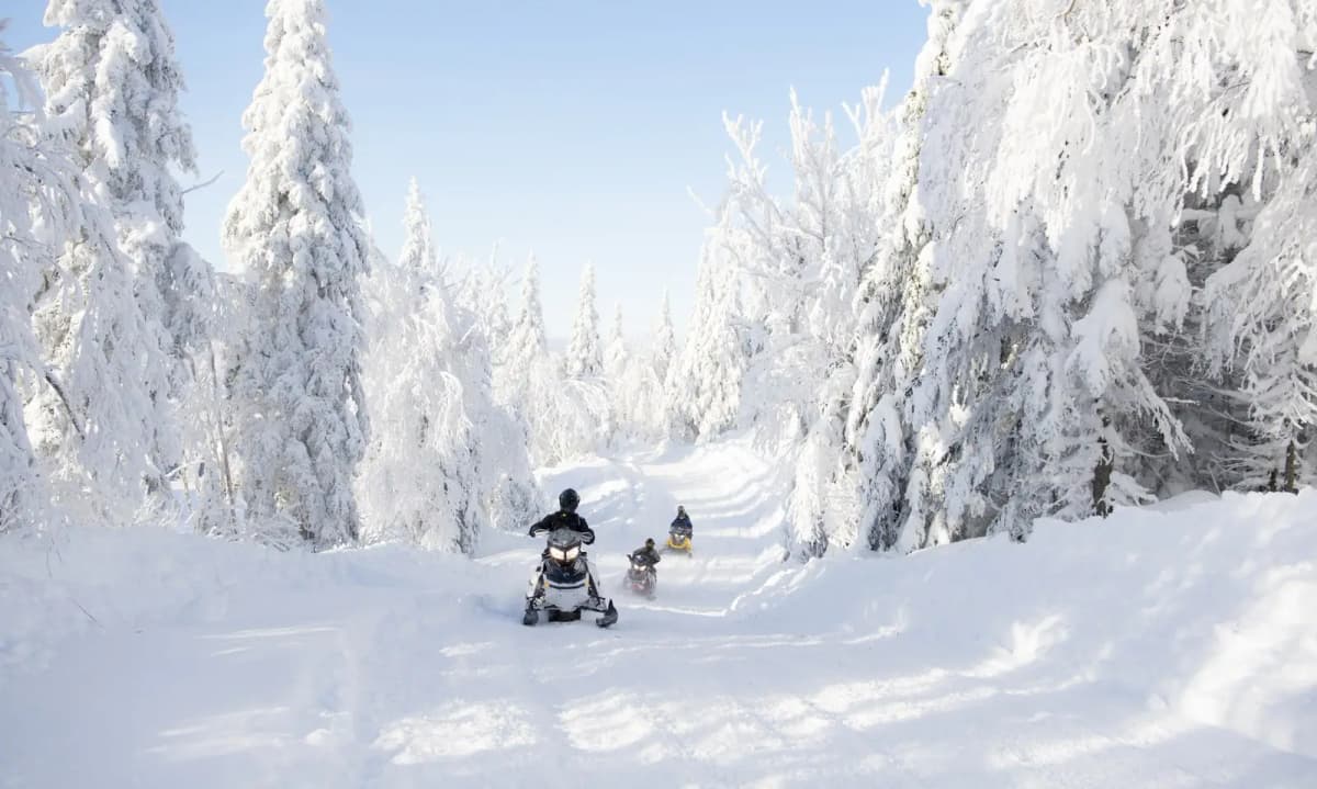 Un groupe de motoneigistes parcourt des sentiers de motoneige bordés d’arbres enneigés dans les Hautes-Laurentides.