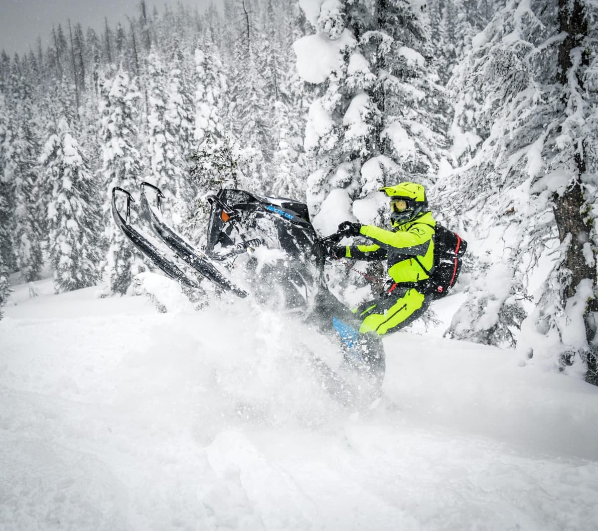 Arctic Cat Catalyst M 600 2024