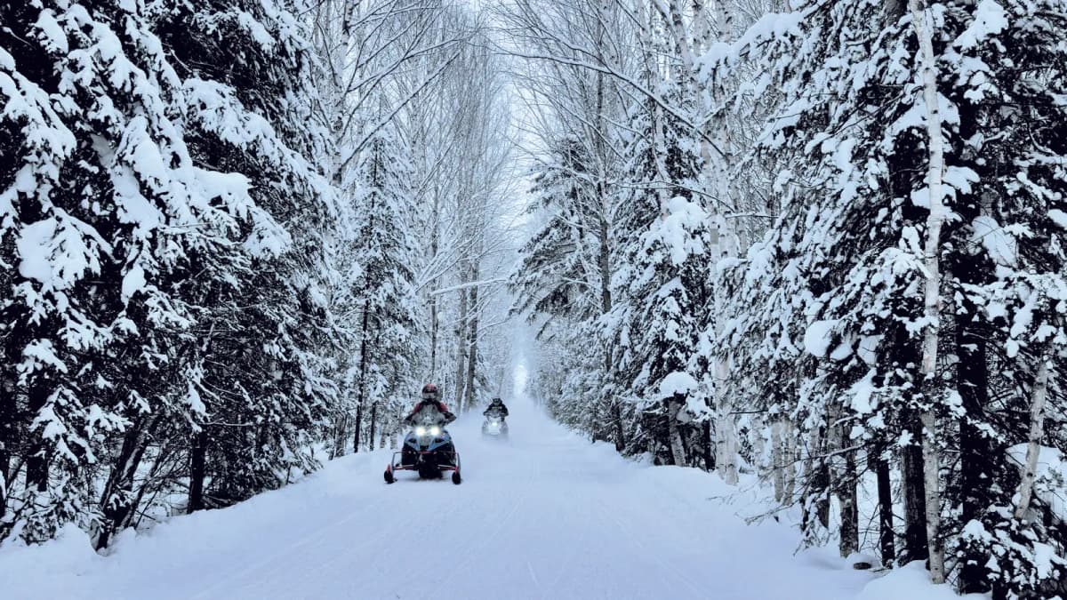 Des motoneigistes parcourent des sentiers de motoneige enneigés, entourés de forêts, au Québec.