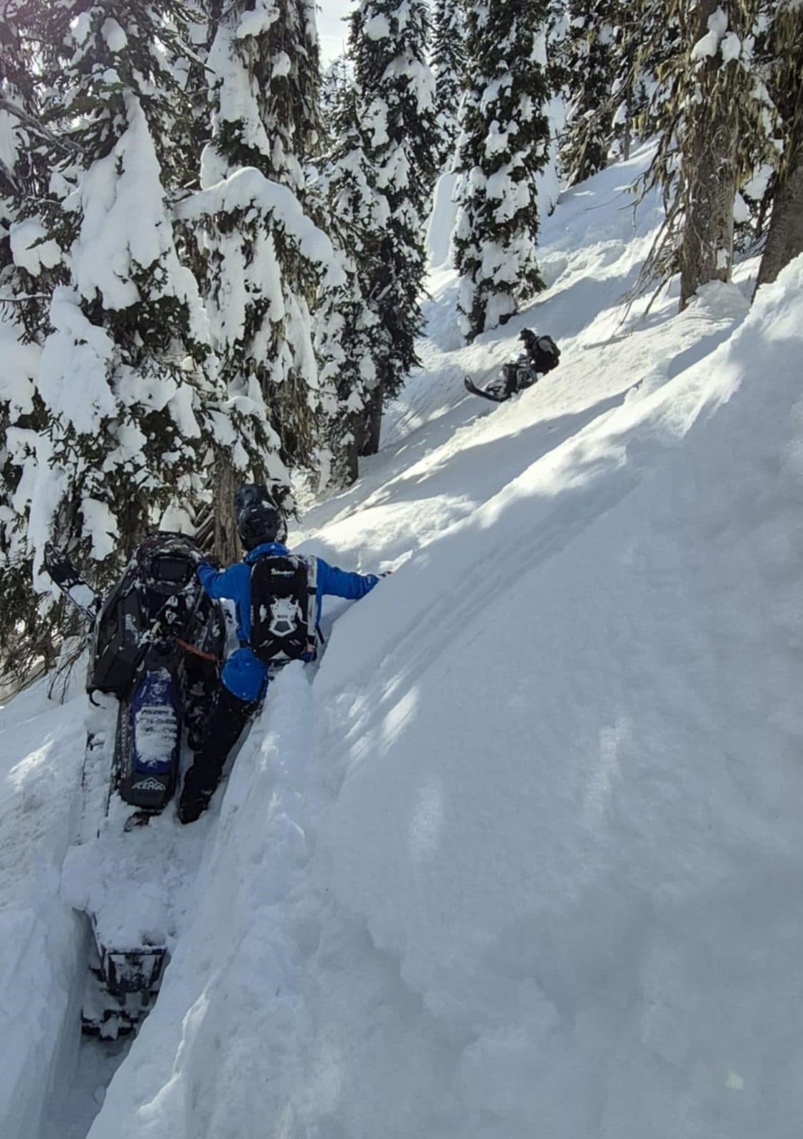 Revelstoke pour les nuls