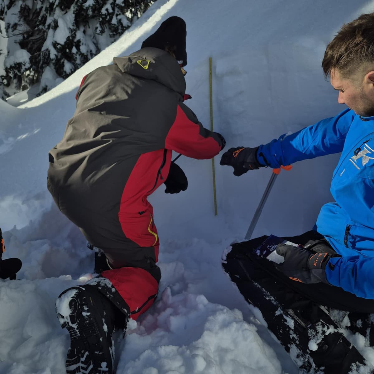 Revelstoke pour les nuls