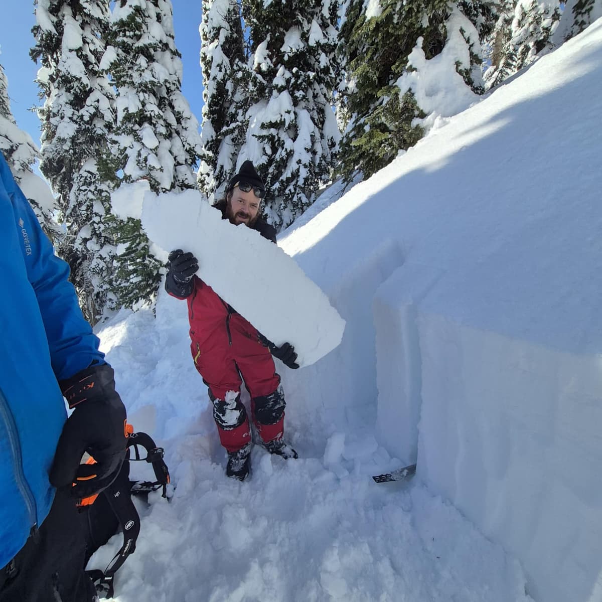 Revelstoke pour les nuls