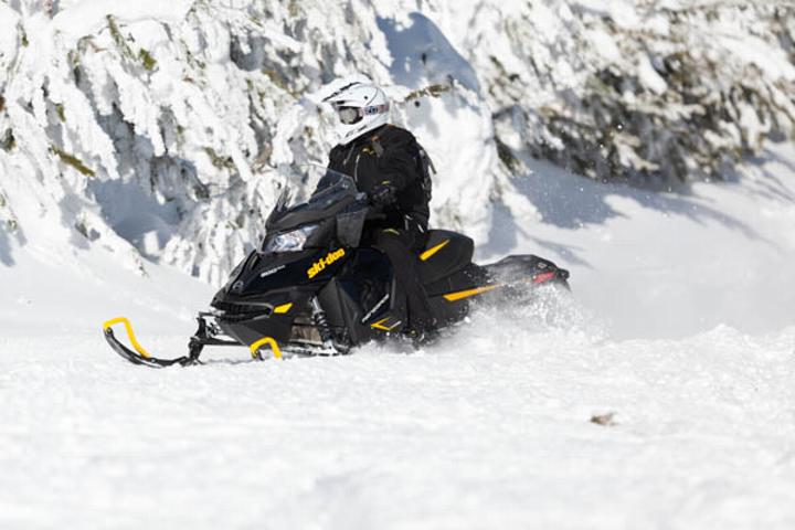 sled ski-doo - financial results