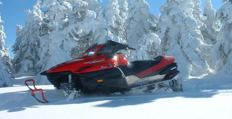 Yamaha RS-Vector 2005