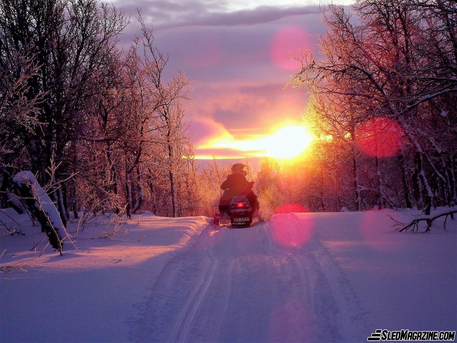 Bright Trails Ahead - Snowmobile - Snowmobiler