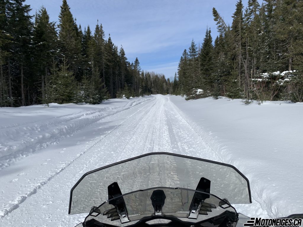 Ski-Doo Renegade Enduro 900 ACE Turbo (130) 2023 