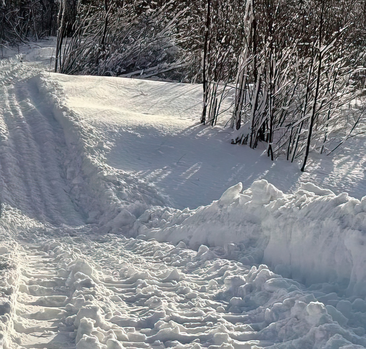 snowy trails