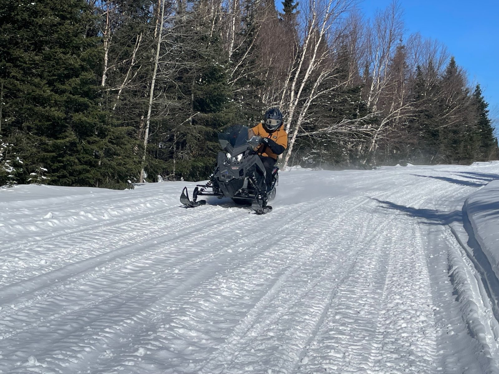 2024 switchback xc 2024