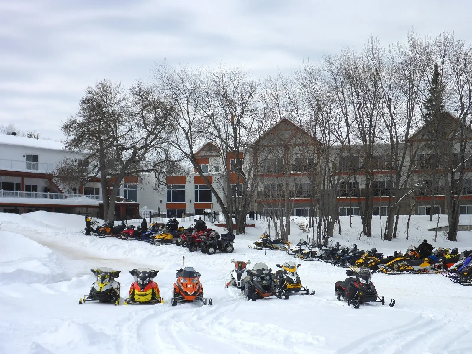 A row of colourful snowmobiles parked in front of a large building in winter, with bare trees under a cloudy sky.