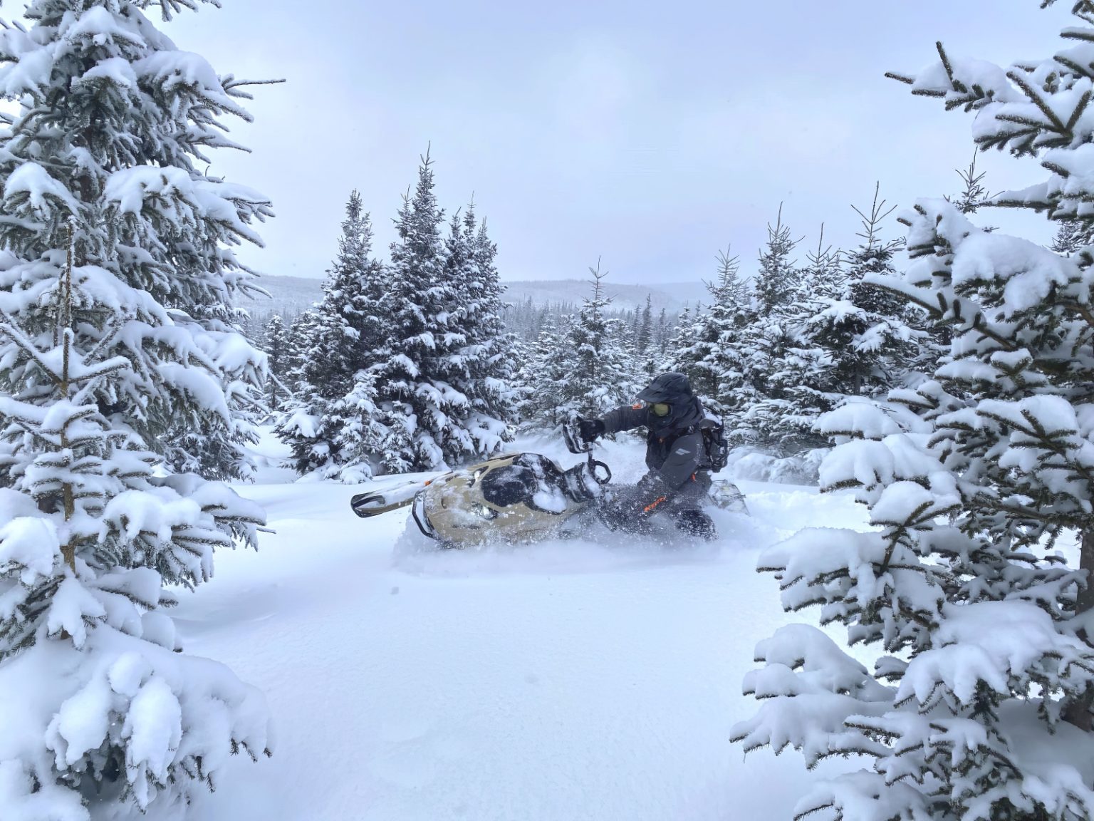 Ski-Doo Summit Adrenaline Edge 154