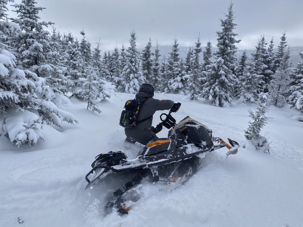 Ski-Doo Summit Adrenaline Edge 154