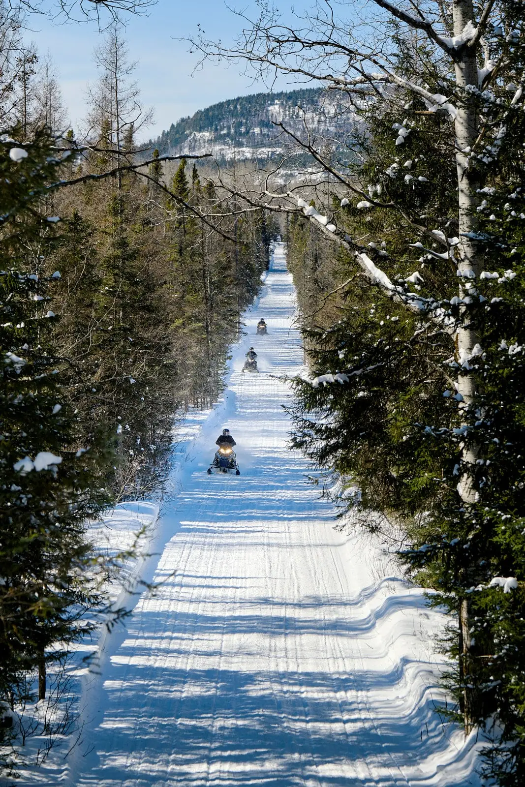 Groupe de motoneigistes sur un sentier enneigé en forêt en Abitibi-Témiscamingue.