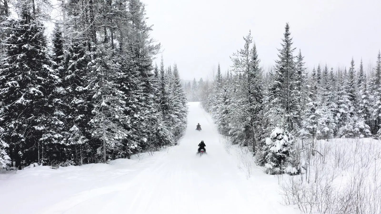 Deux motoneiges traversant un sentier enneigé entouré de sapins couverts de neige en Abitibi-Témiscamingue.