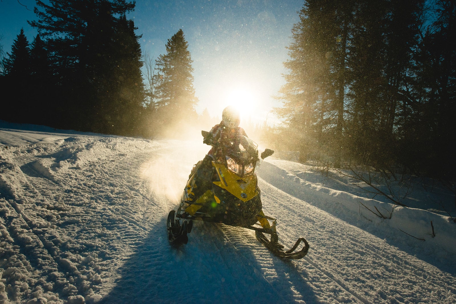 Une motoneige jaune filant sur un sentier enneigé, la lumière du soleil traversant les arbres en arrière-plan.