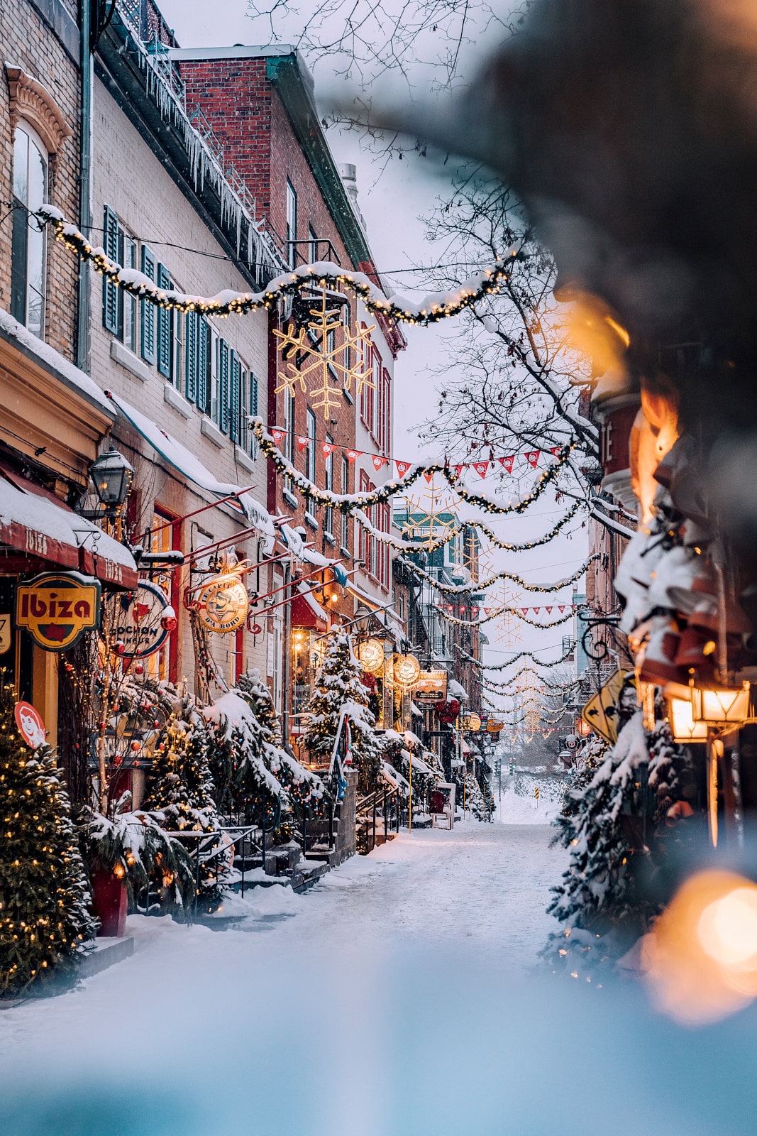 Une rue festive de la ville de Québec recouverte de neige, décorée de lumières de Noël, de guirlandes et de décorations, bordée d’arbres de Noël et d’enseignes lumineuses.