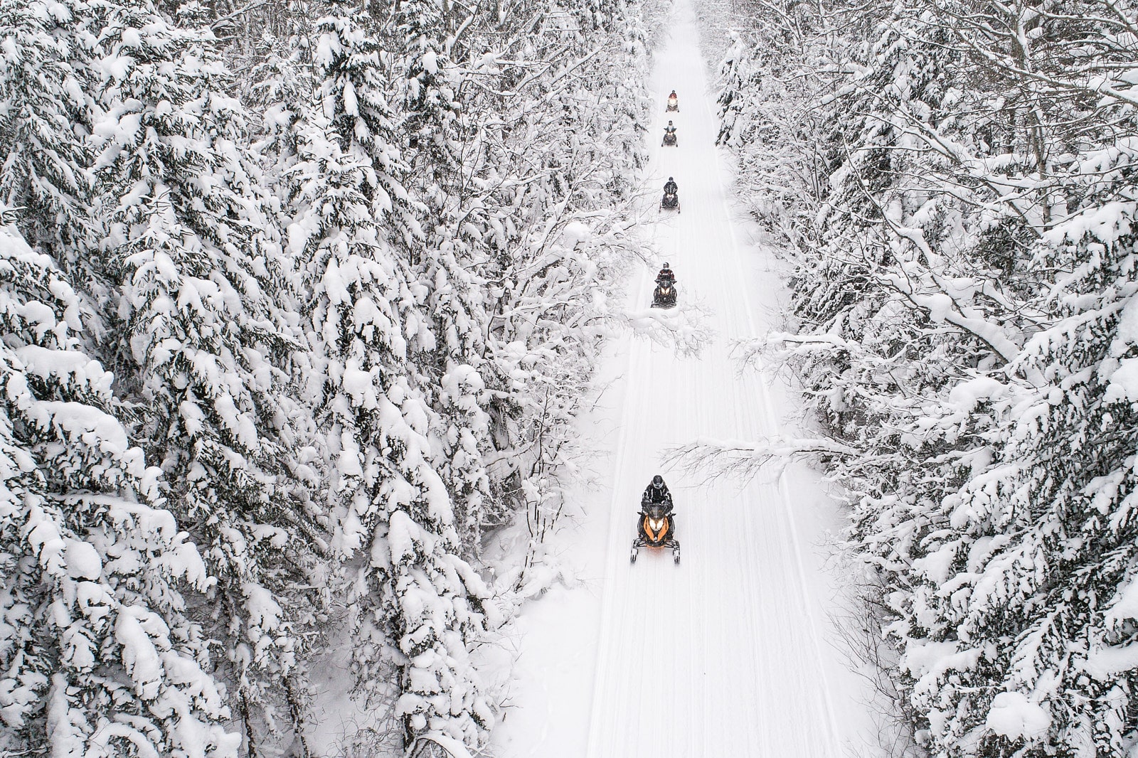 Aerial view of a dense, snow-covered forest, showcasing frosted treetops in a natural pattern.