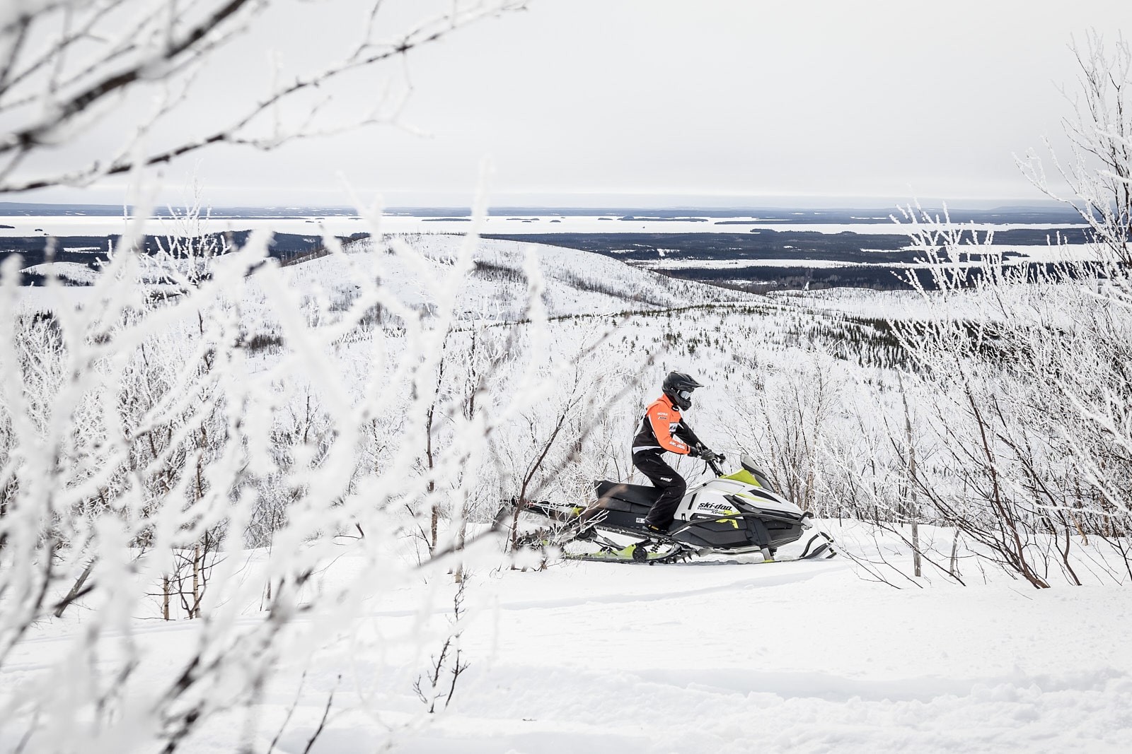 Snowmobiler wearing an orange and black jacket in Eeyou Istchee Baie-James, with a backdrop of hills and frozen lakes framed by frosted branches.