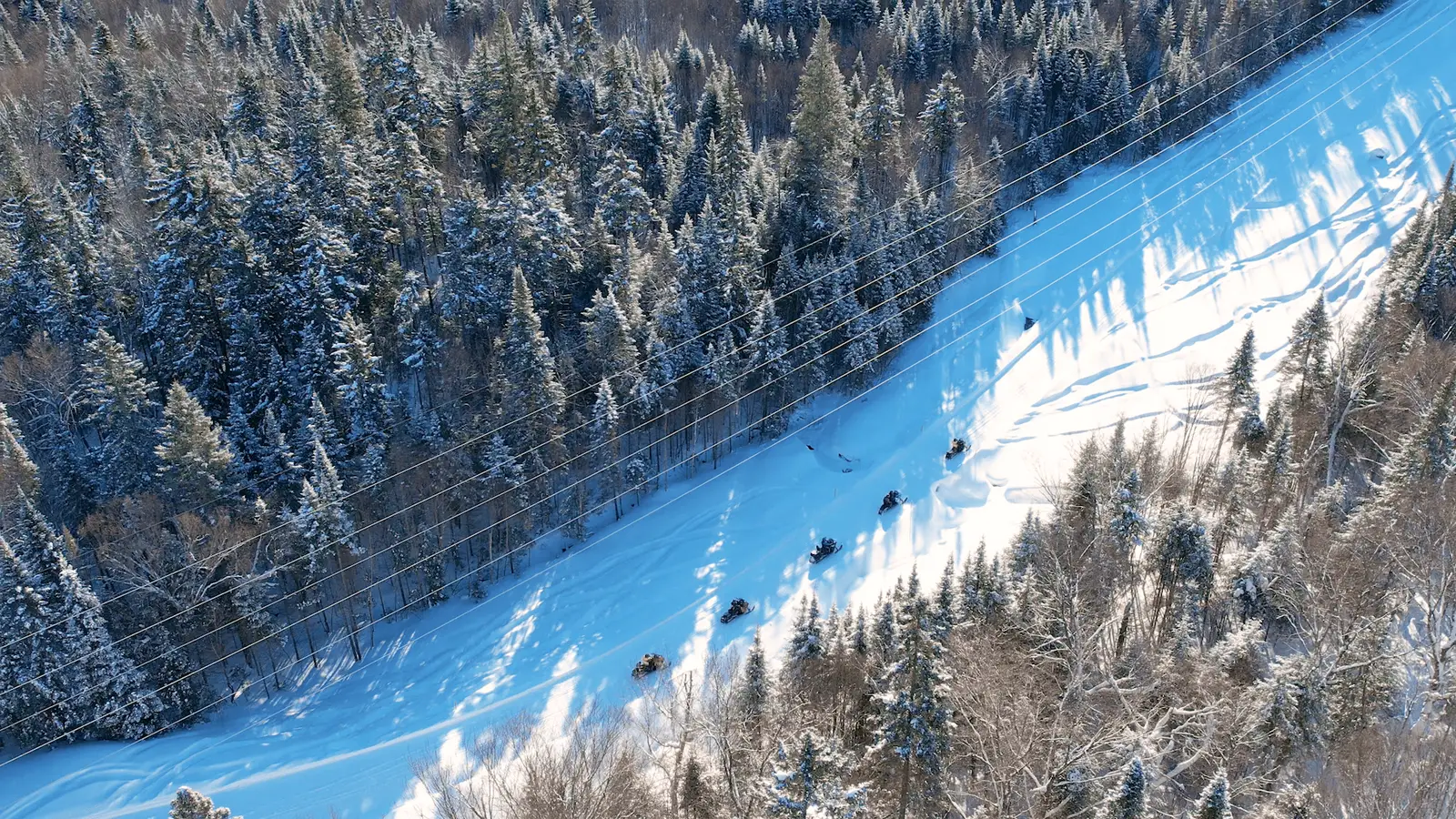 Aerial view of a group of snowmobilers on a snow-covered trail bordered by dense forests under an electrical line in Lanaudière-Mauricie.