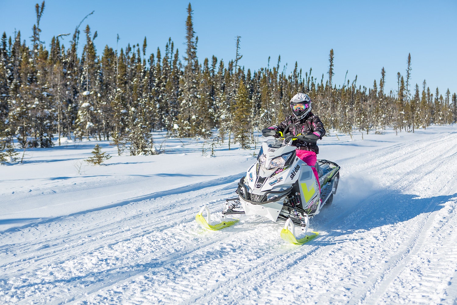 Motoneigiste sur un Ski-Doo blanc et jaune, portant un équipement de motoneige rose et noir, roulant sur un sentier enneigé entouré d’une forêt de conifères sous un ciel bleu clair.