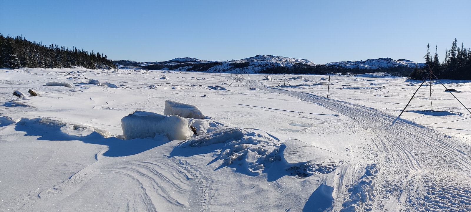 Je demeure fasciné par cette signalisation installé à tous les 50 pieds, comme un métronome