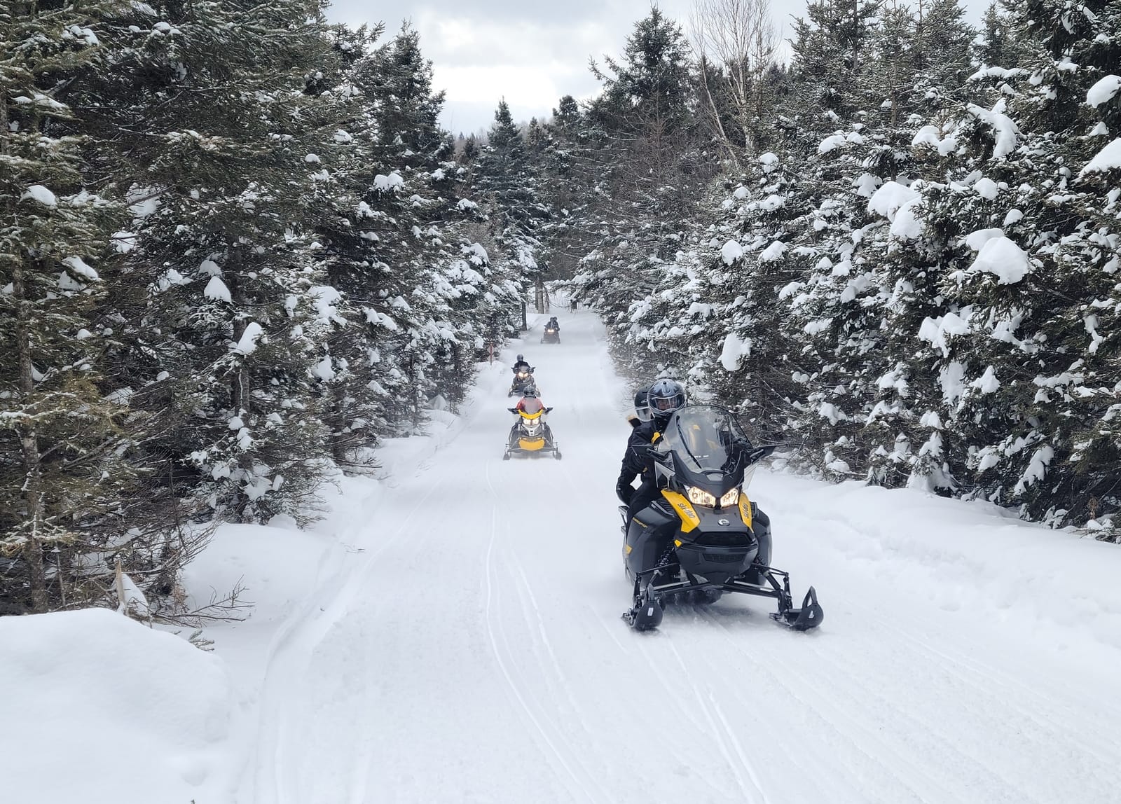 Sondage - Sentiers de motoneige