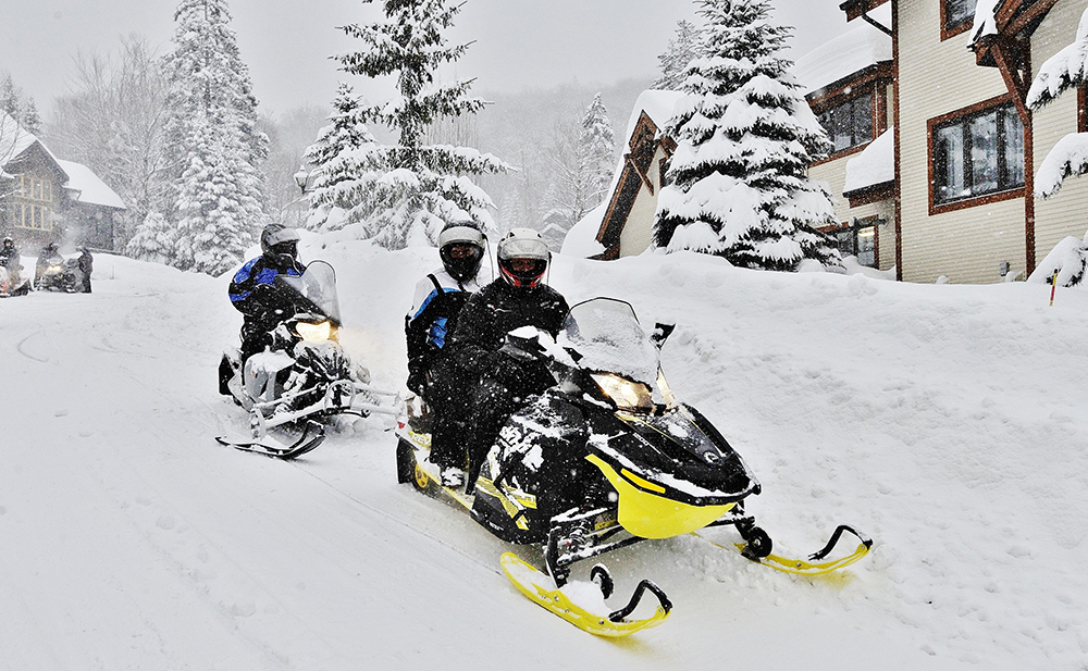 Chalets Alpins Stoneham