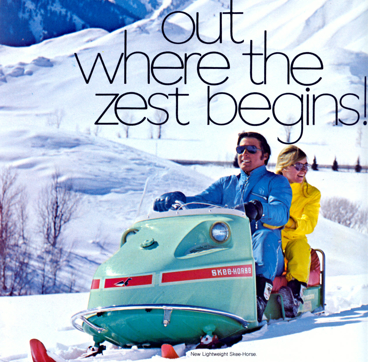 1970 - Johnson Skee-Horse