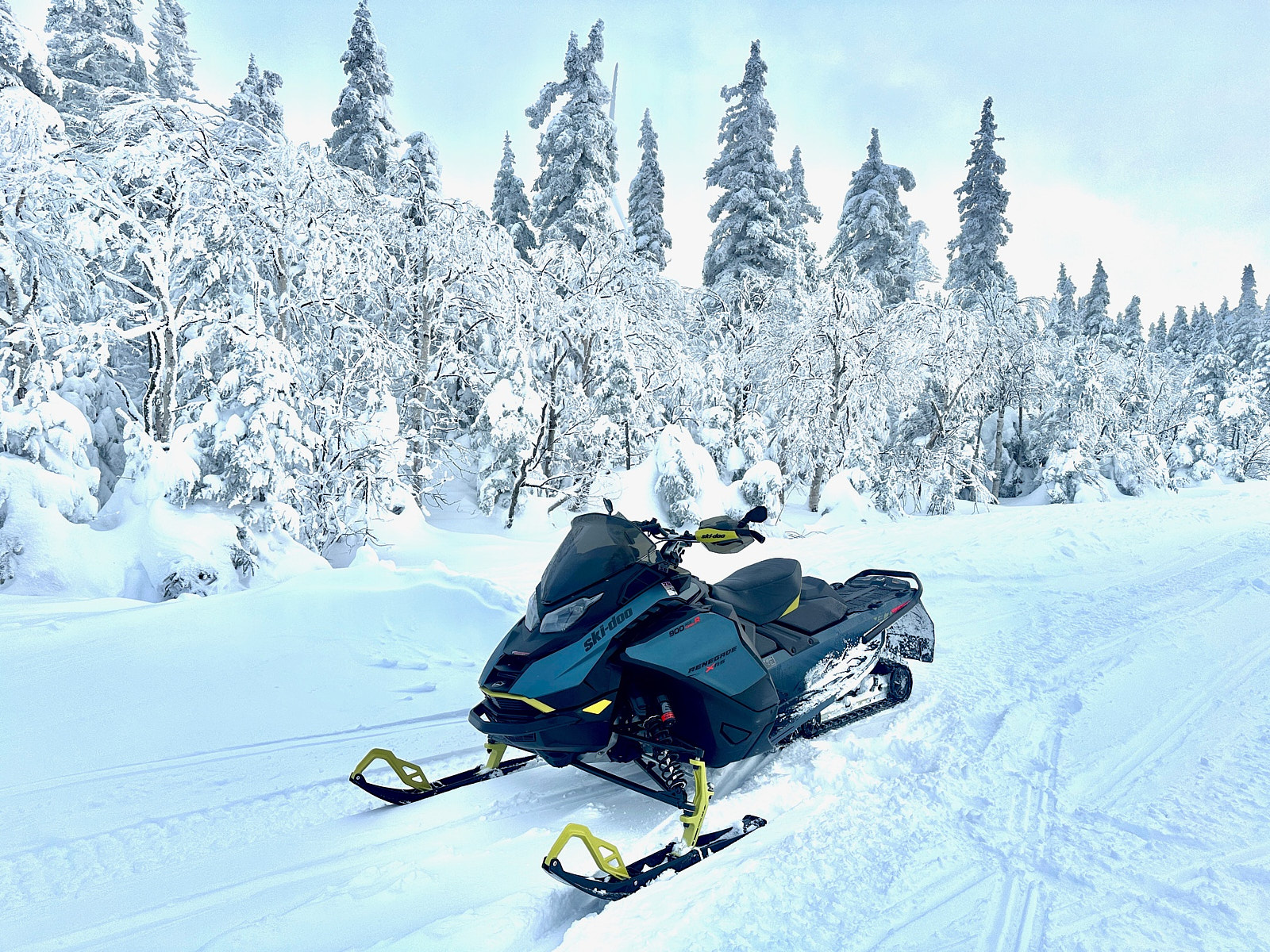 Ski-Doo Renegade X-RS 2026