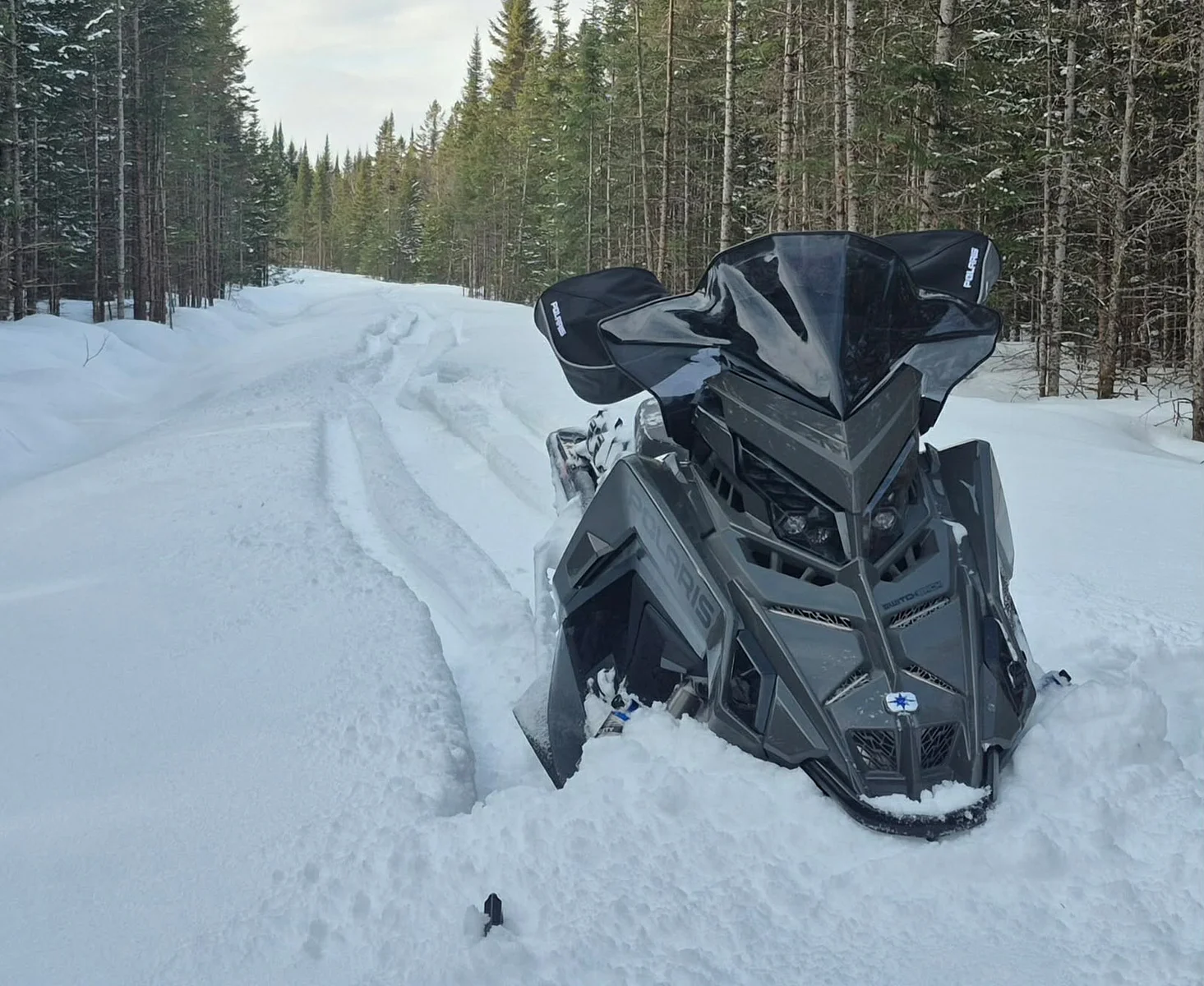 Polaris Switchback Assault 650